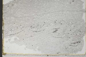 Plane Polarized, S33949