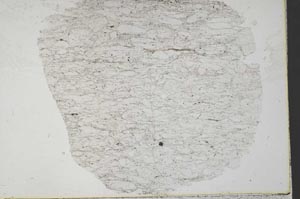 Plane Polarized, S33951
