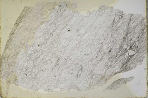 Plane Polarized, S33952