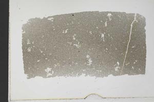 Plane Polarized, S33962