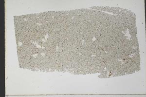 Plane Polarized, S33969