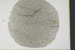 Plane Polarized, S33974