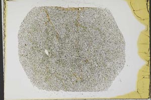 Plane Polarized, S33977