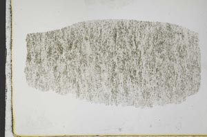 Plane Polarized, S34012