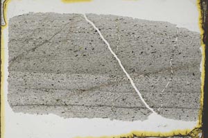 Plane Polarized, S34022