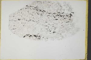 Plane Polarized, S34086