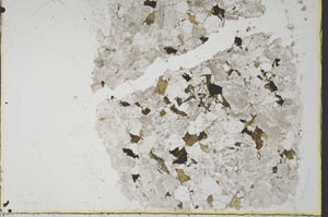 Plane Polarized, S34118