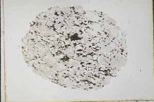 Plane Polarized, S34127