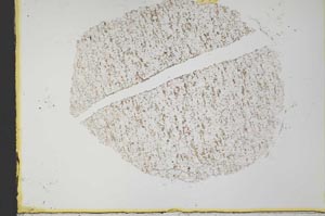 Plane Polarized, S34133
