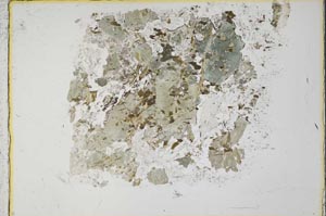 Plane Polarized, S34134/A