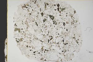 Plane Polarized, S34139