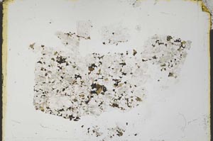 Plane Polarized, S34140