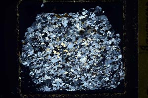 Cross Polarized, S34144