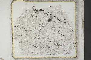 Plane Polarized, S34144