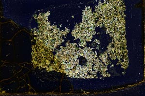 Cross Polarized, S34145