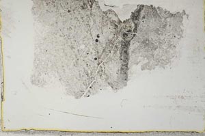 Plane Polarized, S34148