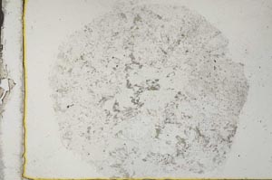Plane Polarized, S34149