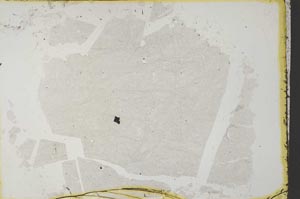 Plane Polarized, S34152