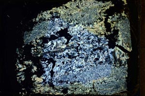 Cross Polarized, S34153
