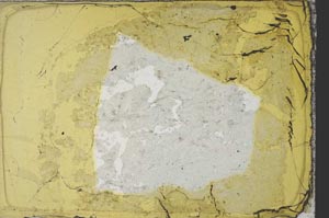 Plane Polarized, S34153