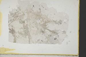 Plane Polarized, S34155