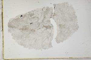 Plane Polarized, S34157
