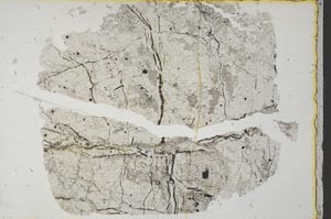 Plane Polarized, S34160