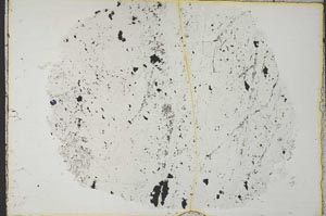 Plane Polarized, S34161