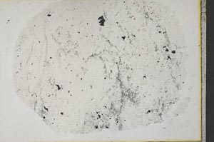 Plane Polarized, S34163