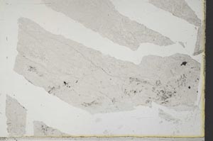 Plane Polarized, S34164