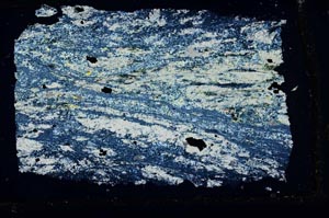 Cross Polarized, S34165