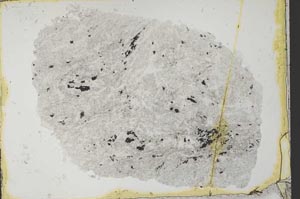 Plane Polarized, S34168