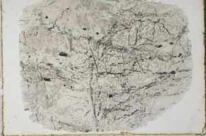 Plane Polarized, S34169