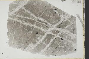 Plane Polarized, S34172