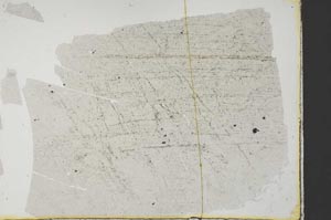 Plane Polarized, S34174