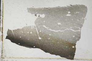 Plane Polarized, S34178