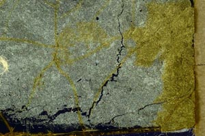 Cross Polarized, S34179