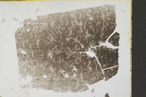 Plane Polarized, S34180