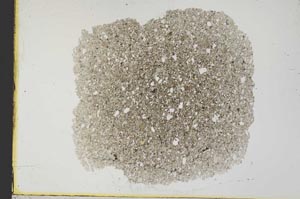 Plane Polarized, S34189