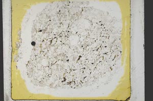 Plane Polarized, S34196