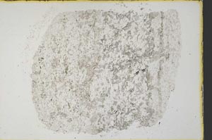 Plane Polarized, S34198