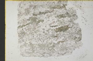 Plane Polarized, S34199