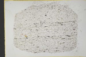 Plane Polarized, S34206