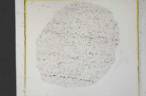 Plane Polarized, S34211