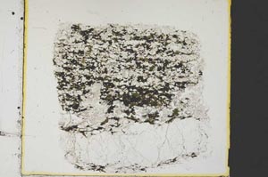 Plane Polarized, S34213