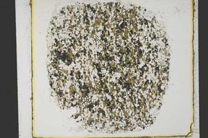 Plane Polarized, S34214