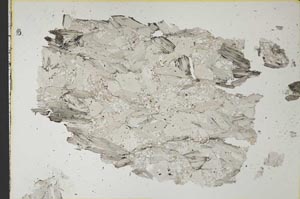 Plane Polarized, S34227