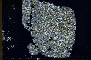 Cross Polarized, S34246