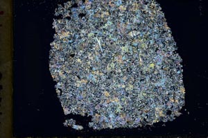 Cross Polarized, S34248