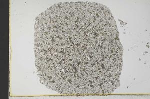 Plane Polarized, S34254